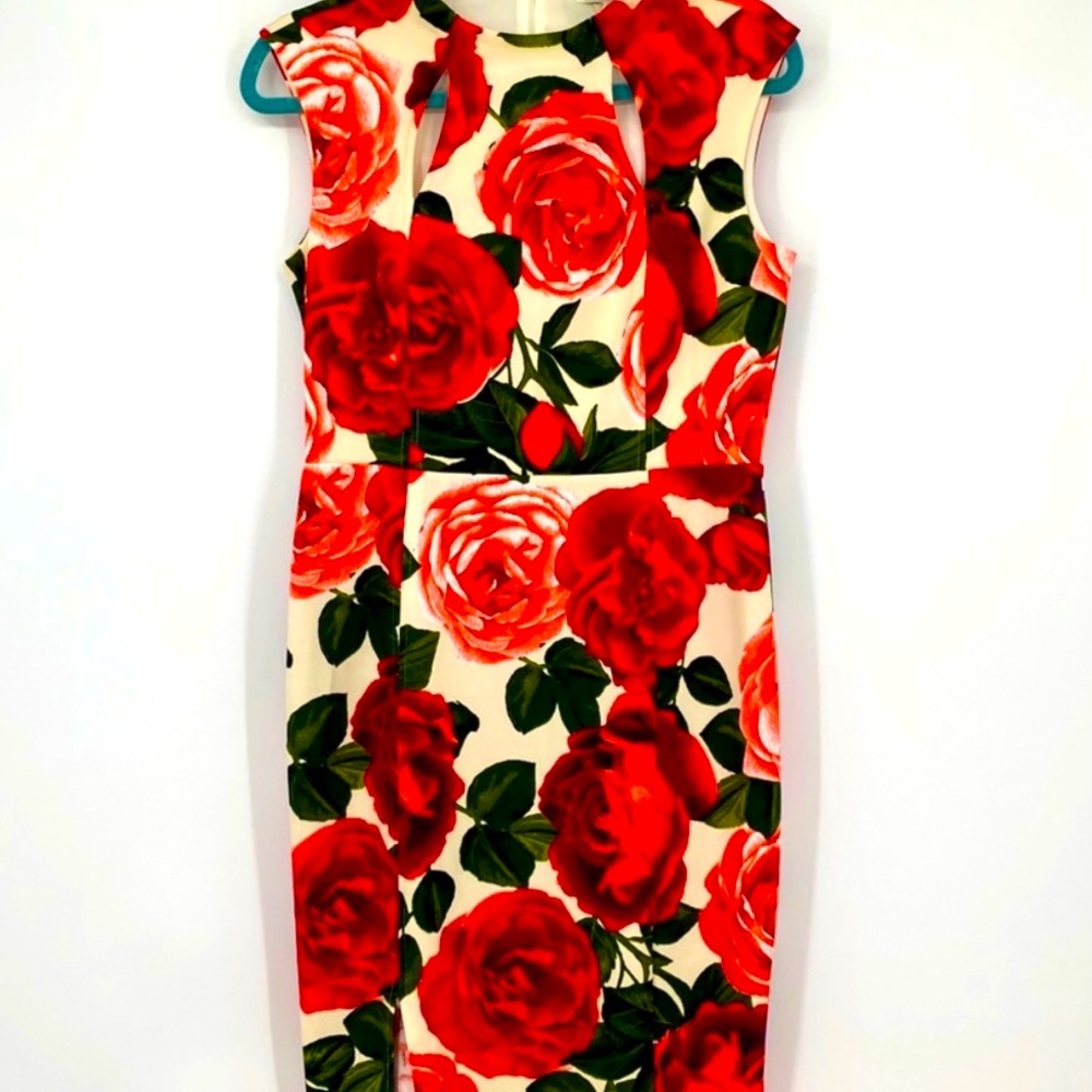 EUC no flaws beautiful red floral dress!